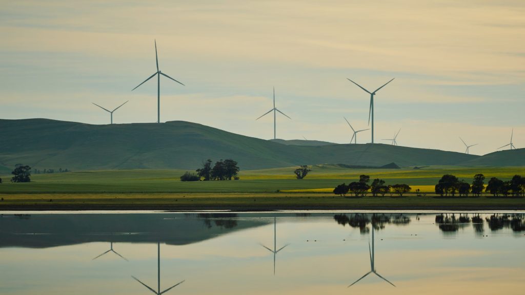 Neoen Goyder South Wind Farm, South Australia (2)
